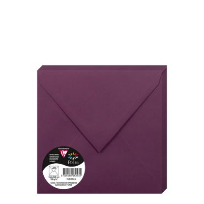Picture of Pollen Envelopes 165x165mm (120gr) CASSIS