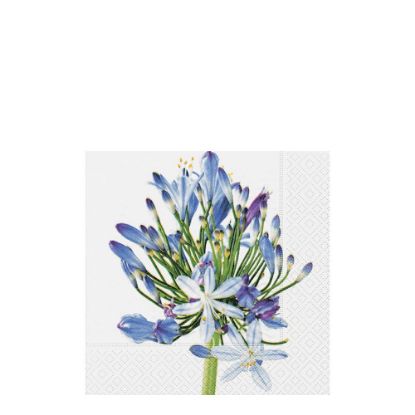 Picture of NAPKIN 33X33-AGAPANTHUS -21162