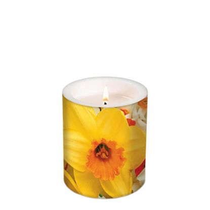 Picture of CANDLE 10.5X12-JONQUIL  -98080
