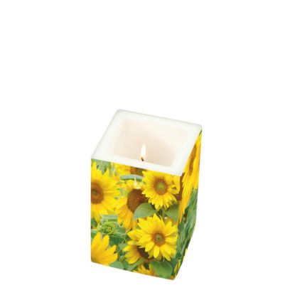 Picture of CANDLE 8X8X12-FIELD OF S-98835