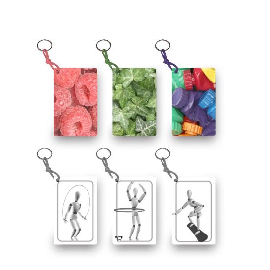 Picture of 3D KEYRINGS/DISPLAY    -75371C