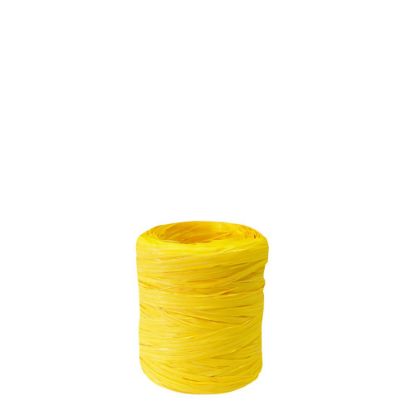 Picture of RIB.RAFFIA-SYNT.YELLOW-601915C