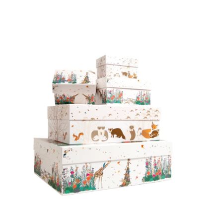 Picture of BOXES MADEMOISELLE (5)-745019C