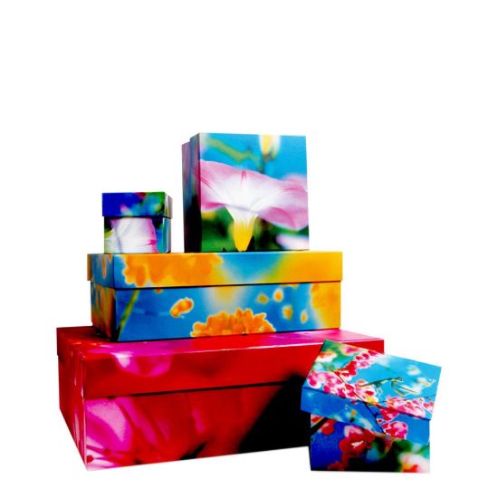 Picture of BOXES MIKA NINAGAWA(5)-755019C