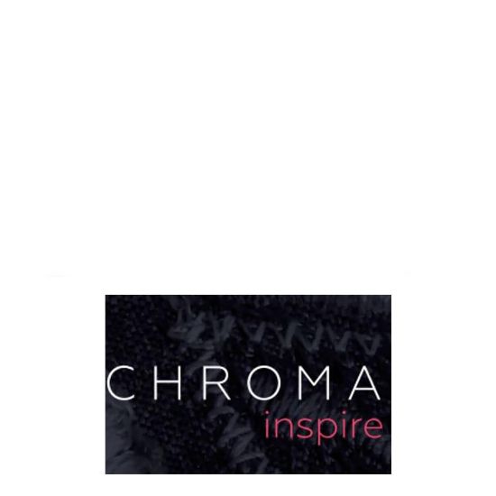 Picture of Chroma Inspire - Digitizing Software